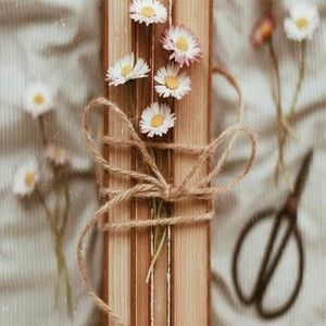 Meet your Posher, Caydence